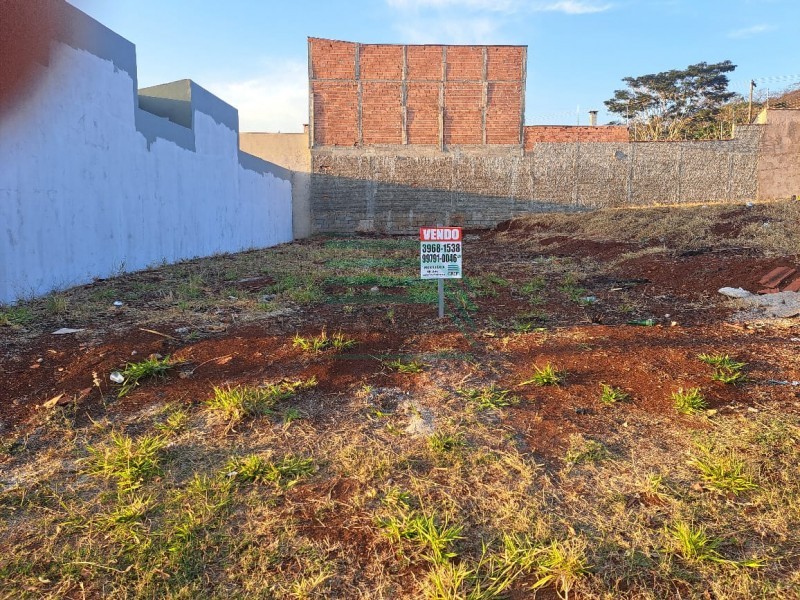 Terreno - Jardim Palmares - Ribeirão Preto