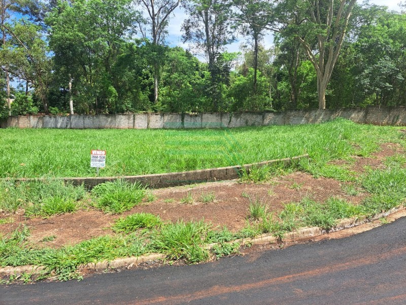 Terreno - Jardim Palmares - Ribeirão Preto