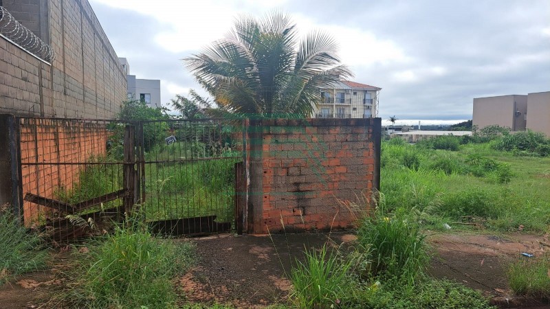 Terreno - Jardim Palmares - Ribeirão Preto